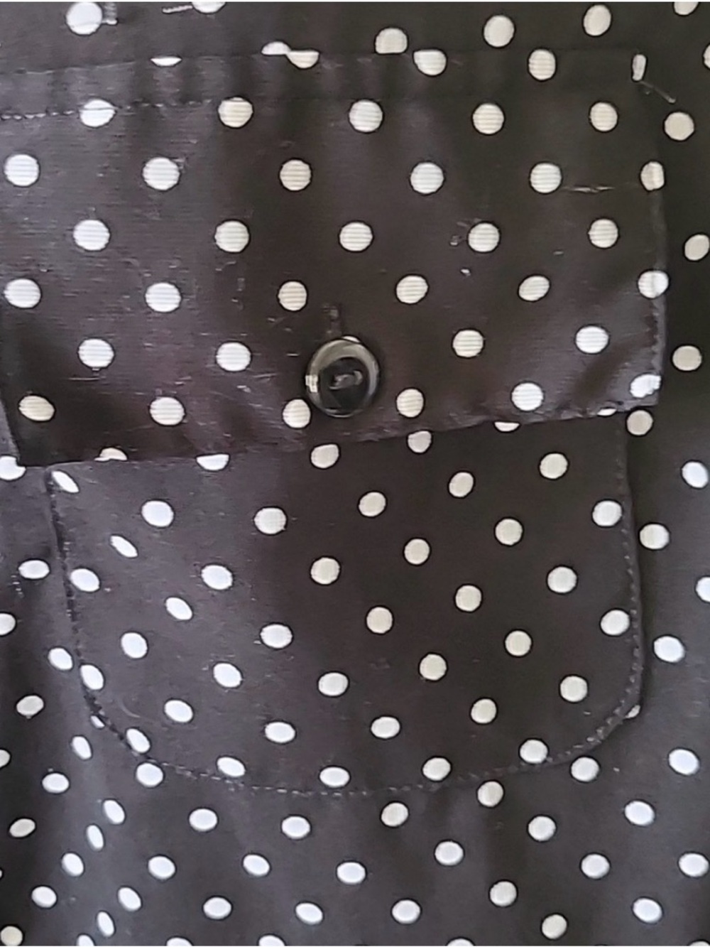 Notations Black and White Polka Dot Blouse with Straight Collar and Long Sleeves - Picture 7 of 13